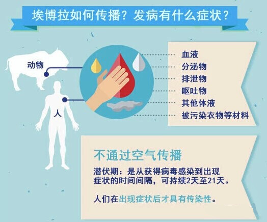 埃博拉如何傳播？